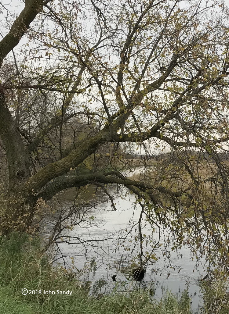 River Scene Minnesota